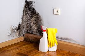 Best Water Damage & Mold Remediation in Langhorne Manor, PA